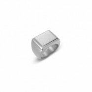 Ring Cole Signet Matt Stål 17 mm