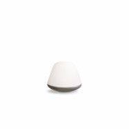 Bloom Small Ø20 satin silver