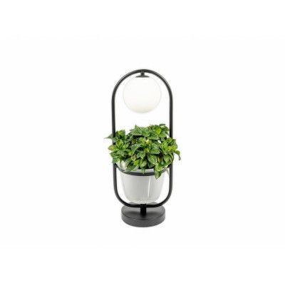 Lindby - Orna Bordslampa Black/Opal