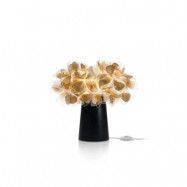 SLAMP - Clizia Borda Mama Non Mama Gold/Black