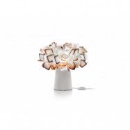 Slamp - Clizia Borda Orange