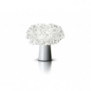 SLAMP - Clizia Borda Vit