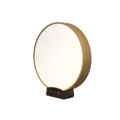 SolMate mobil standard /office Ek