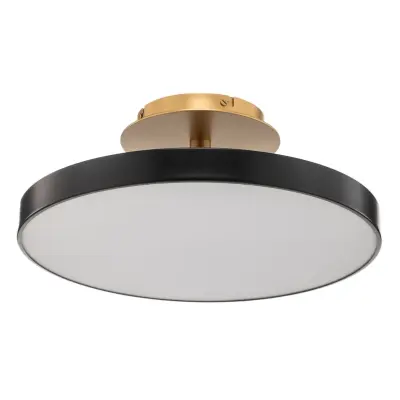 UMAGE - Asteria Up Plafond Medium Anthracite