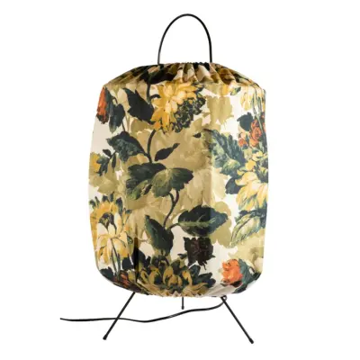 Ami golvlmpa, Solros