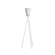 Northern - Oslo Wood Golvlampa Beige/Vit