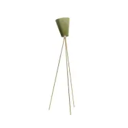 Northern - Oslo Wood Golvlampa Guld/Olive