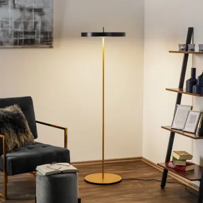 Asteria golvlampa, antracit – UMAGE Asteria Floor - Vardagsrum - Design - Metall - Med lampskärm