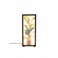 ZUIVER Grow L golvlampa - glas och svart trä