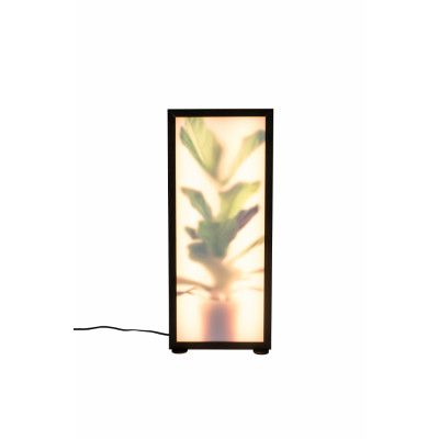 ZUIVER Grow L golvlampa - glas och svart trä