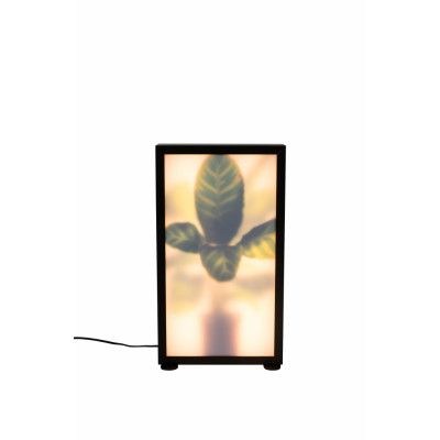 ZUIVER Grow M golvlampa - glas och svart trä