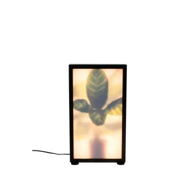 ZUIVER Grow M golvlampa - glas och svart trä