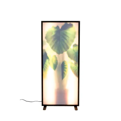 ZUIVER Grow XXL golvlampa - glas och svart trä