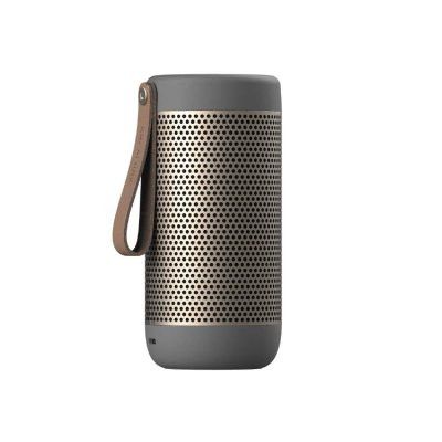 aCOUSTIC Trådlös Högtalare TWS Grå