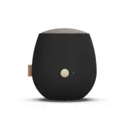 aJAZZ+ Trådlös Högtalare TWS Svart
