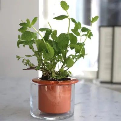 Hylla Folded S Orange