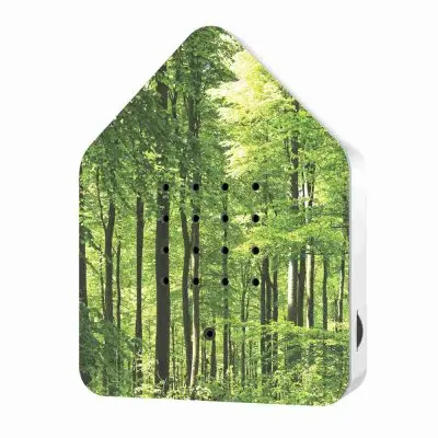 Speldosa Fågelkvitter Zwitscherbox Skogsmotiv