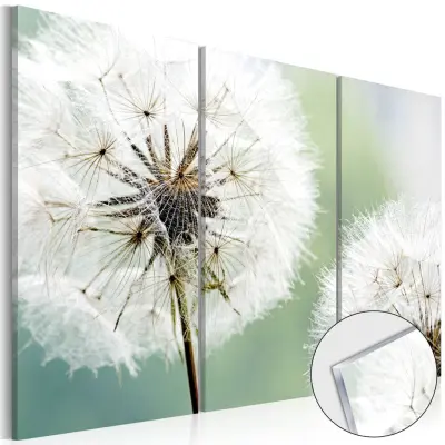 Artgeist bild - Fluffy Dandelions, plexiglas 120x80