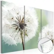 Artgeist bild - Fluffy Dandelions, plexiglas 60x40