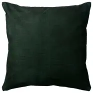 AYTM - Puncta Kudde Forest