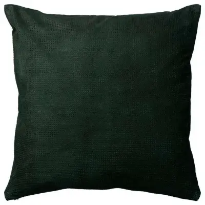 AYTM - Puncta Kudde Forest