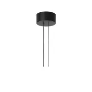 Flos Arrangement Rose takkopp Black, small