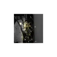 Ljusslinga Dew Drop, Mässing