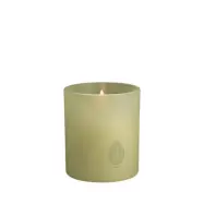 Glas Ljus 9,2x10,2 cm Light Green Leaf - Uyuni Lighting