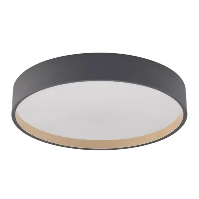 Lindby - Todor Plafond Grey