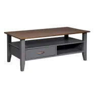 NORDIC LIVING COLLECTION Luzerna soffbord, med 1 hyllplan, 1 fack och 1 låda - grått och sepiaträ (115x45)