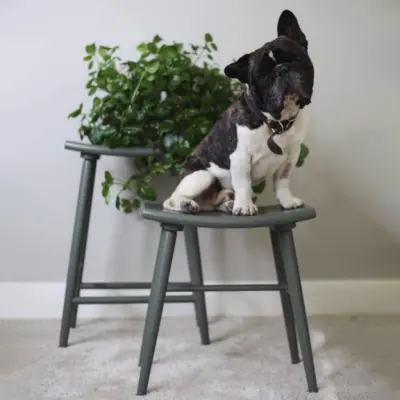 Pall Emil Mörk Grön