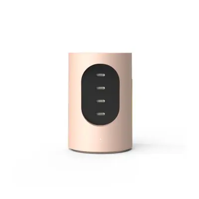 Cords Grenuttag USB-C Cylindrical UX1 Pale Pink
