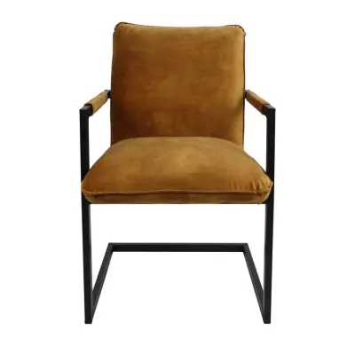 HSM COLLECTION Boston Matstol, med Armstöd - Guld Velour och Metall