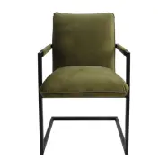 HSM COLLECTION Boston Matstol, med Armst&ouml;d - Mossgr&ouml;n Velour och Metall