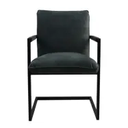 HSM COLLECTION Boston Matstol, med Armst&ouml;d - Velour och Metall