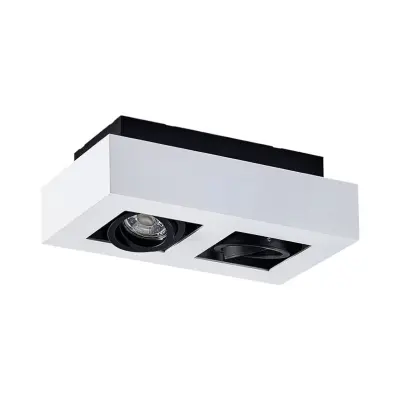 Arcchio - Vince 2 Plafond White/Black