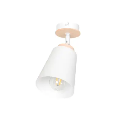 ATLAS 1 Taklampa, Vit