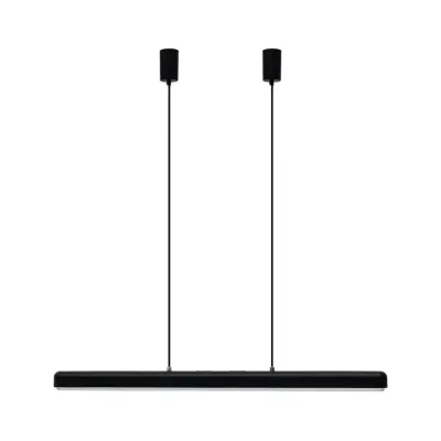 Hazel Branch taklampa, Black/Steel