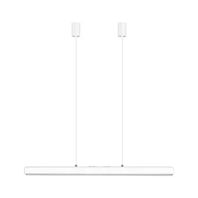 Hazel Branch taklampa, White/Steel