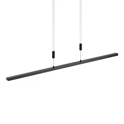 Lindby - Arneja Taklampa Black