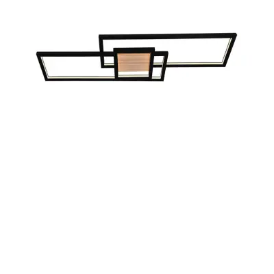 Lindby - Emiljan LED Plafond Svart