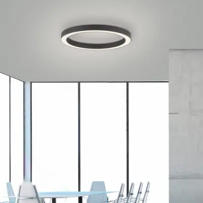 Lines Round LED-taklampa, grafit, Ø 50 cm, CCT – PURE PURE Lines Round - Vardagsrum - Modern - Metall - Rund