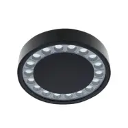 Lucande - Roran LED Utomhus Plafond Svart