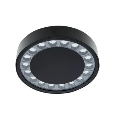Lucande - Roran LED Utomhus Plafond Svart