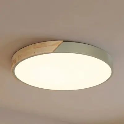 Lynorri LED-taklampa, Ø 51 cm, grön, trädekor – PRIOS - Vardagsrum - Modern - Plast - Rund