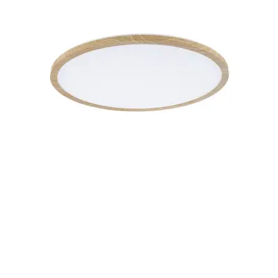Paulmann - Atria Shine LED Plafond Ø42 4000K IP44 Wood