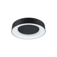 Paulmann - Casca taklampa Ø40 IP44 matt svart