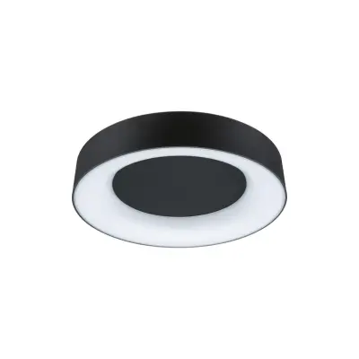 Paulmann - Casca taklampa Ø40 IP44 matt svart