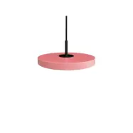 UMAGE - Asteria Taklampa Micro Nuance Rose/Black Top