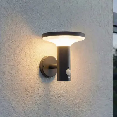 Kalen LED-solcellslampa för vägg, svart, metall, 17 cm, rörelsevakt – PRIOS - Modern - Med en ljuskälla